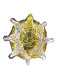 Order Of Franz Joseph I.- Embroidered Star 1st Degeree, Austria-Hungary - Other & Unclassified