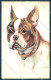 Animals Norfini Dog Boston Terrier Serie 1044 Cartolina Postcard TW1294 - Autres & Non Classés