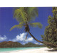 SEYCHELLES PETER BAKER - Seychelles