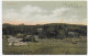 Photo Post Card Tristeza, Porto Alegre 1901 To Genf/Switzerland, Esel - Other & Unclassified