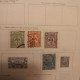 Lot 9 Anciens  Timbres De La Nouvelle Calédonie  De 1891 à 1928 ( 3 Neufs ) - Oblitérés