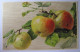 FRUITS - Pommes - 1907 - Other & Unclassified