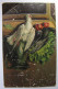 FANTAISIES - Nature Morte - 1908 - Altri & Non Classificati