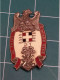 INSIGNE 21 EME REGIMENT DE CAMP, CANJUERS, DRAGO - Heer