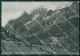 Aosta Courmayeur Planpincieux Monte Bianco Mucche PIEGHINE Foto Cartolina KB5168 - Aosta