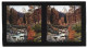 Stereo-Fotografie Chromoplast-Bild Nr. 114, Ansicht St. Niklaus, Partie Im Visptal Mit Blick Zum Matterhorn  - Stereoscopio
