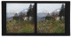 Stereo-Foto Chromoplast-Bild Nr. 81, Ansicht Meran, Das Schloss Planta Oder Greifen  - Stereoscopic