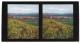 Stereo-Fotografie Chromoplast-Bild Nr. 178, Ansicht Tiberias, Blick Nach Der Stadt Am See Genezareth  - Stereoscopic