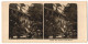 Stereo-Fotografie NPG, Berlin, Ansicht Mainau, Im Garten Des Schloss Mainau  - Fotos Estereoscópicas