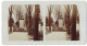 Stereo-Fotografie Unbekannter Fotograf, Ansicht Mainz, Veteranendenkmal Auf Dem Mainzer Hauptfriedhof  - Stereoscopic