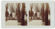 Stereo-Fotografie Unbekannter Fotograf, Ansicht Mainz, Veteranendenkmal Auf Dem Mainzer Hauptfriedhof  - Photos Stéréoscopiques