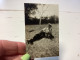 Photo Snapshot 1930 Cannes Homme Couché Par Terre, Bien Habillé Béret Avec Son Chien Dans Les Bras Dans L’herbe Arbre Fo - Anonyme Personen