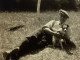 Photo Snapshot 1930 Cannes Homme Couché Par Terre, Bien Habillé Béret Avec Son Chien Dans Les Bras Dans L’herbe Arbre Fo - Anonyme Personen