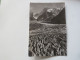 CHAMONIX (Hte-Savoie) Alt. 1050 M.  582 - Les Crevasses De La Mer De Glace Et Les Grandes Jorasses (4206 M.) - Chamonix-Mont-Blanc