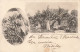 NOUVELLE CALEDONIE - Touffe De Bananiers Et Régime De Bananes - Animé - Carte Postale Ancienne - New Caledonia