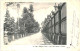 CPA Carte Postale  Portugal Lisboa Rua Aurea Avenida Lateral Do Jardim Botanico Coimbra  1903 VM79812ok - Lisboa