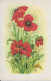 Fantaisies > Fleurs Coquelicots Aquarelle - Flores