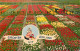 Groeten Uit Netherlands Flower Decoration Tulips Field - Fleurs