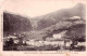 66 - Pyrénées Orientales -  AMELIE Les BAINS - Les Villas - Le Fort Et La Frontiere D Espagne - Autres & Non Classés