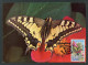 GIBRALTAR (2023) Carte Maximum Card - Butterflies, Papillon, Swallowtail, Papilio Machaon, Schwalbenschwanz, Porte-queue - Gibilterra