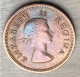 1954 South Africa Coin 1/4 Penny(Farthing),KM#44,7261 - Sud Africa