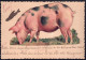 +++ Petite Carte - 1er Avril - Découpi Cochon - Chromo - Pig  // - 1° Aprile (pesce Di Aprile)