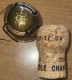 Capsule & Bouchon & Muselet Crémant De Belgique CHANT D'ÉOLE Série Initiales, Rose Des Vents, Brun & Or Mat Nr 01 - Schuimwijn