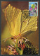 GIBRALTAR (2023) Carte Maximum Card - Butterflies, Papillon, Brimstone, Gonepteryx Rhamni, Citron, Zitronenfalter - Gibilterra