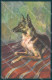 Animals Dog German Shepherd Professor Lenci Degami 51 Cartolina Postcard TW1182 - Andere & Zonder Classificatie