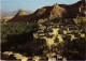PC OMAN, FANJA VIEW, Modern Postcard (b52894) - Oman