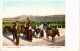 PC CROATIA, SPALATO, SPLITSKA OKOLICA, Vintage Postcard (b53219) - Croatia