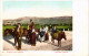 PC CROATIA, SPALATO, SPLITSKA OKOLICA, Vintage Postcard (b53219) - Croacia