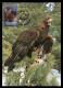 GIBRALTAR (2024) Carte Maximum Card - Birds Of Prey - Golden Eagle, Aquila Chrysaetus, Aigle Royal, Steinadler, Rapaces - Gibraltar