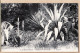 26928 / ⭐ LA MORTOLA VENTIMIGLIA Giardini Botanici Giardino HANBURY Agave Cactus  Photographie GILETTA N°9 Etat PARFAIT - Imperia