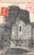 78-CHEVREUSE-RUINES CHÂTEAU DE LA MADELEINE-N°6024-H/0093 - Chevreuse