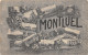 01-MONTLUEL-FANTAISIE-N°6027-A/0011 - Montluel