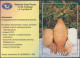 Poland 2005 Mi 4183 Europa - CEPT, Oscypek Cheese, Karpaty Mountain Traditional Food Booklet Set Of 6 Stamps MNH** - Alimentación