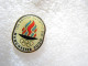 PIN'S   MANCHESTER  2000 THE BRITHSH OLYMPIC BID - Olympische Spelen