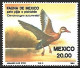 Mexico - MNH ** 1984 Complete Set 2/2 : Muscovy Duck  -  Cairina Moschata +  Black-bellied Whistling Duck - Eenden