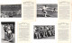 Delcampe - SPORTS, SET OF 71 PIECES, OLYMPIA 1936, BAND II, ED. VOL. 14., BERLIN, STADION, FLAG, BOAT, ARCHITECTURE, HORSE, GERMANY - Olympic Games