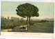 Delcampe - SPRING-CLEANING LOT (10 POSTCARDS), Rome / Roma, Italy - Collections & Lots