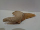 Diente Fósil Tecnológico De Tiburón. Otodus Obliquus. Edad: Paleoceno- Eoceno. Procedencia:  Marruecos, Oued Zem. - Fossili