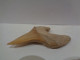 Delcampe - Diente Fósil Tecnológico De Tiburón. Otodus Obliquus. Edad: Paleoceno- Eoceno. Procedencia:  Marruecos, Oued Zem. - Fossielen