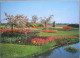 HOLLAND NETHERLAND LAND OF FLOWERS BLOEMENLAND POSTCARD CARTOLINA ANSICHTSKARTE CARTE POSTALE POSTKARTE CARD - Other & Unclassified