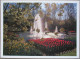 HOLLAND NETHERLAND LAND OF FLOWERS BLOEMENLAND POSTCARD CARTOLINA ANSICHTSKARTE CARTE POSTALE POSTKARTE CARD - Altri & Non Classificati