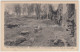 Narocz See, Circa 1916 Postcard - Belarus