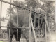 PHOTO SNAPSHOT 1920 Cannes éléphant Enfermé Derrière Un Portail, Il Veut Sortir Maison Derrière Gros éléphant - Places