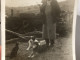 PHOTO SNAPSHOT 1920 Cannes à La Campagne En Tablier à Ses Pieds, Chien Chat Qui Les Regarde - Places