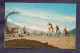 PAKISTAN POSTCARD PIA , PAKISTAN INTERNATIONAL AIRLINES * A POLO GAME IN GILGIT , PRINTED IN PIA PRESS - 1946-....: Moderne
