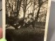 Photo Snapshot 1920 Cannes Belle Femme, Jeune Fille, Allongée Dans L’herbe Dans 1, Square, Parc Chapeau, Manteau Arbre - Personnes Anonymes